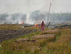 Delhi Government May Hike Agricultural Land Circle Rates After 18 Years
