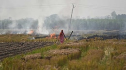 Delhi Government May Hike Agricultural Land Circle Rates After 18 Years