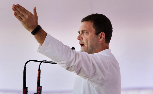 Rahul Gandhi's Tweet On Tigress Avni's Killing Quotes Mahatma Gandhi