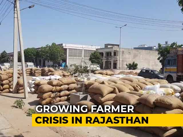 BJP's Promised Aid For Bajra Farmers May Yield Little In Rajasthan Polls