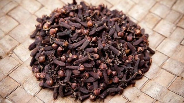 Cloves are widely used as an antiseptic