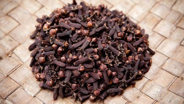 Cloves are widely used as an antiseptic
