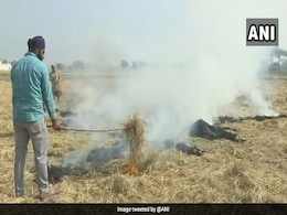 More Stubble Burning This Year Compared To Last Year: Green Panel Chief More Stubble Burning This Year Compared To Last Year: Green Panel Chief