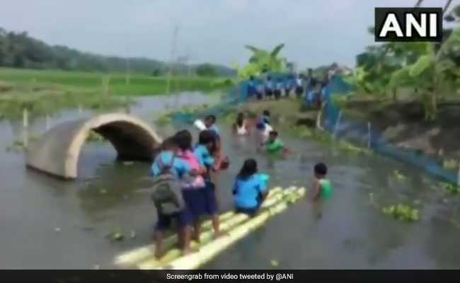No Bridge, Assam Students Cross River On Banana Stems To Reach School