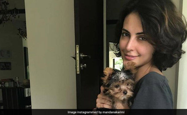 बिग बॉस में आ चुकी एक्ट्रेस ने फिल्म डायरेक्टर पर लगाए आरोप, बोलीं- मेरी जिंदगी नरक बना दी थी