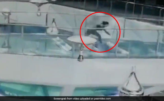 In Terrifying Video, Woman Trips And Falls Into Shark Tank At Mall
