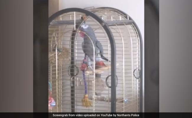 Firefighters Respond To Emergency Call, Find Parrot Imitating Fire Alarm. Watch