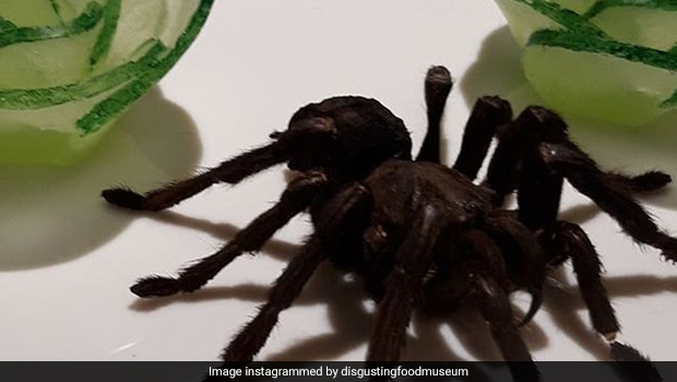 3 Penis Wine, Fried Tarantula And More Gross Delicacies At The Disgusting Food Museum In Sweden!