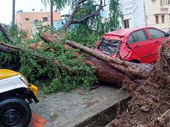 13 Dead, Over 81,000 Evacuated As Cyclone Gaja Hits Tamil Nadu: 10 Points