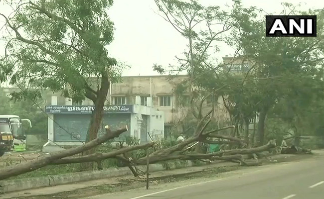 P Chidambaram Praises Tamil Nadu For Effectively Tackling Cyclone Gaja