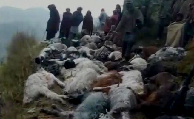 Lightning Kills Over Hundred Goats, Sheep In Jammu And Kashmir