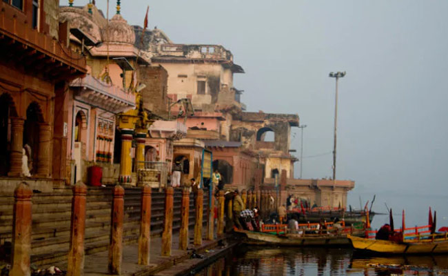 Fish In Mathura Died Because Of Toxic Elements In Yamuna: Officials