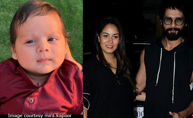 First Pic Of Shahid Kapoor, Mira Rajput's Son Zain Is Winning Over The Internet