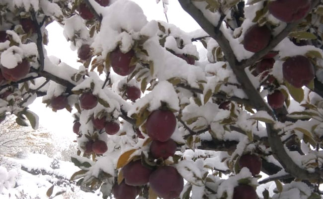 White-Out In Kashmir Leads To Power Blackout, School Exams In Candlelight