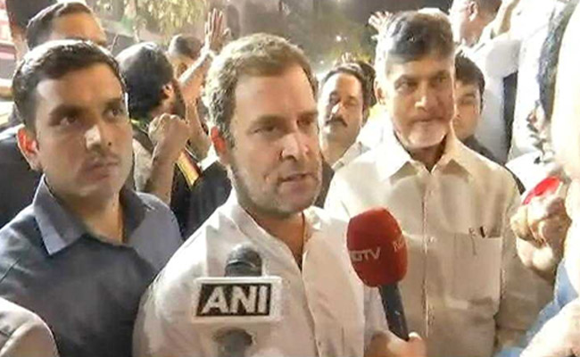 "We Like Each Other," Rahul Gandhi, Chandrababu Naidu Tell NDTV: Transcript