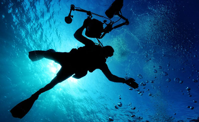 Video Shows Diver's Encounter With Mysterious 26-Foot Sea Creature