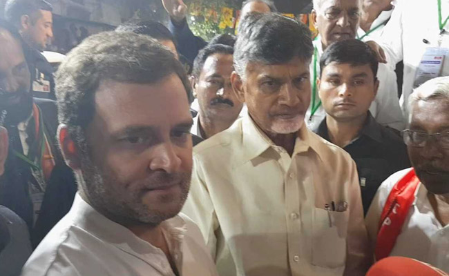 "We Like Each Other": Rahul Gandhi On Alliance With Chandrababu Naidu