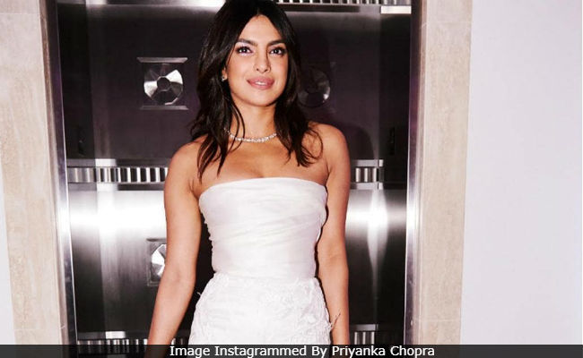 In Priyanka Chopra's Wedding Registry Guide, Items For Home Essentials, Travel And Pet Accessories