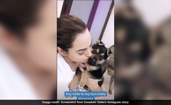 World, Say Hello To Sonakshi Sinha's 'New Baby' - A Puppy Named Bronze