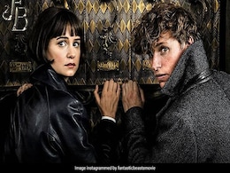 As <I>Fantastic Beasts: The Crimes Of Grindelwald</I> Releases, Eddie Redmayne Wonders If He'll Be 'Employed Again' As <I>Fantastic Beasts: The Crimes Of Grindelwald</I> Releases, Eddie Redmayne Wonders If He'll Be 'Employed Again'