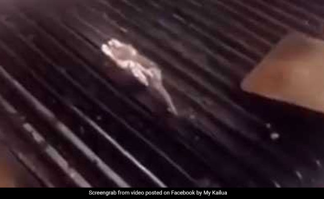 शेफ ने किया चूहे को ग्रिल, रेस्टोरेंट में लगा ताला, वायरल हुआ VIDEO