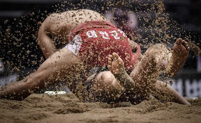 North, South Korea Win Joint Bid For UNESCO Recognition Of Wrestling