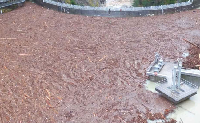 17 Dead, 14 Million Trees Uprooted In Italy's "Apocalyptic" Storm