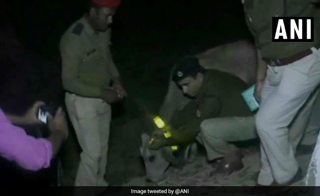 UP Stray Cows Get Radium Bands, To Avoid Road Accidents At Night