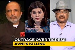Was The Killing Of Tigress Avni Justified? Was The Killing Of Tigress Avni Justified?