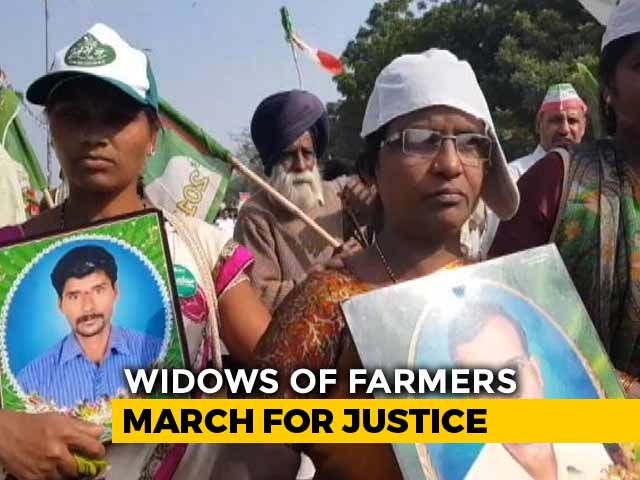 Holding Photographs Of Husbands, Widows Of Farmers Protest In Delhi