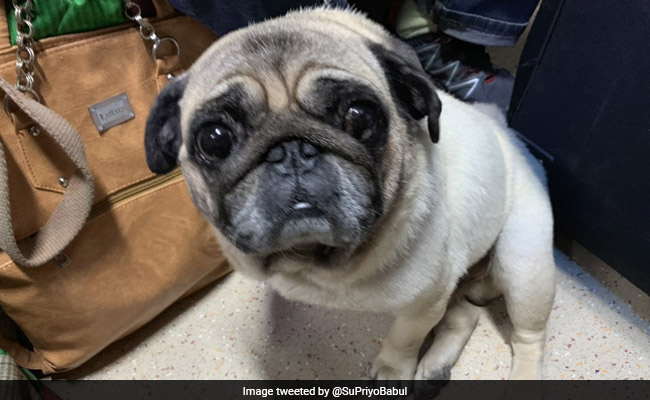 Babul Supriyo's 'Trick' To Get Network On Train Will Have You Smiling