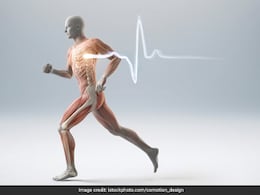 Strong Bone Diet: हड्डियों की ताकत रहेगी बरकरार अगर दूध के अलावा खाना शुरू कर दिए ये फूड्स, क्या जानते हैं आप? Strong Bone Diet: हड्डियों की ताकत रहेगी बरकरार अगर दूध के अलावा खाना शुरू कर दिए ये फूड्स, क्या जानते हैं आप?