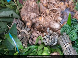इम्यूनिटी बढ़ाने में फायदेमंद हैं गिलोय और अश्वगंधा, जानें इनके अन्य फायदे इम्यूनिटी बढ़ाने में फायदेमंद हैं गिलोय और अश्वगंधा, जानें इनके अन्य फायदे