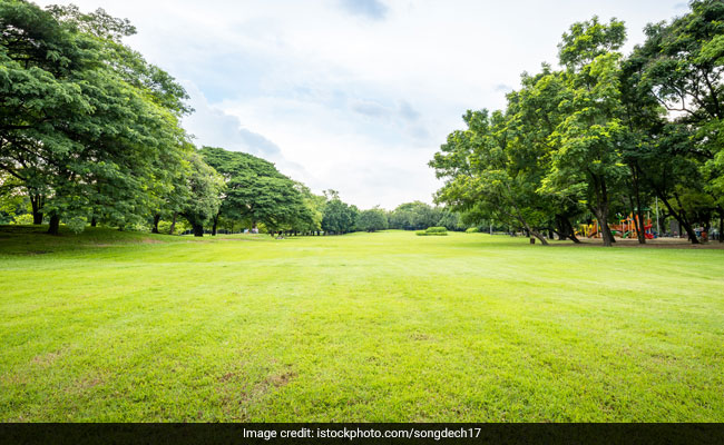Passive Exposure To Greenery Can Reduce Cravings For Junk Food, Alcohol And Cigarettes: Study