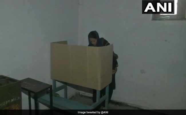 Jammu And Kashmir Panchayat Election First Phase Underway: Highlights