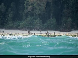 "Hit By Arrows, Kept Walking": American Killed By Protected Andaman Tribe "Hit By Arrows, Kept Walking": American Killed By Protected Andaman Tribe