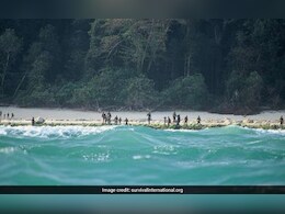 UK National Arrested In Andamans For "Sexually Assaulting" Bengaluru Woman: Cops