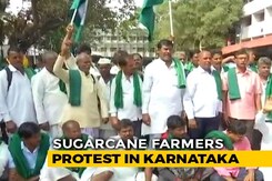 Farmers Protest In Karnataka Over Support Price Of Sugarcane Farmers Protest In Karnataka Over Support Price Of Sugarcane