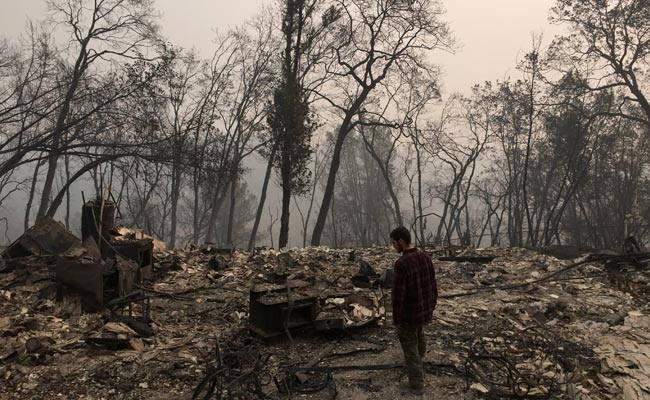 In Paradise Destroyed By Wildfires, One Man's Tireless Search For Brother