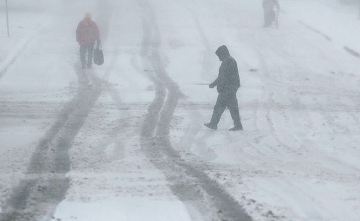 The Art of Baking: From Classic Bread to Artisan Pastries