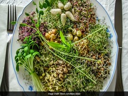 Broccoli Seeds Sprout: ब्रोकली सीड्स स्प्राउट्स खाने के हैरान करने वाले फायदे Broccoli Seeds Sprout: ब्रोकली सीड्स स्प्राउट्स खाने के हैरान करने वाले फायदे