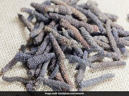 Pippali And Honey: This Herbal Concoction Is A Natural Home Remedy For Sore Throat Pippali And Honey: This Herbal Concoction Is A Natural Home Remedy For Sore Throat
