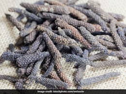 सौ रोगों की एक दवा है ये आयुर्वेदिक औषधि, बस जान लीजिए पीपली का सेवन करने का सही तरीका सौ रोगों की एक दवा है ये आयुर्वेदिक औषधि, बस जान लीजिए पीपली का सेवन करने का सही तरीका
