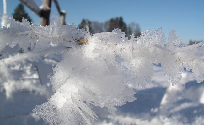 मौसम का बिगड़ता मिजाज:कई राज्यों में बढ़ा ठंड का प्रकोप,दिल्ली में टूटा सर्दी का रिकॉर्ड
