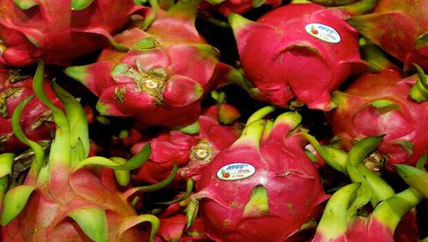 गुजरात सरकार ने बदला Dragon Fruit का नाम, जानें क्या हैं इस फल को खाने के फायदे और नुकसान!