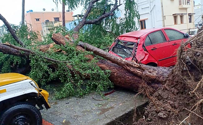 13 Dead, Over 81,000 Evacuated As Cyclone Gaja Hits Tamil Nadu: 10 Points