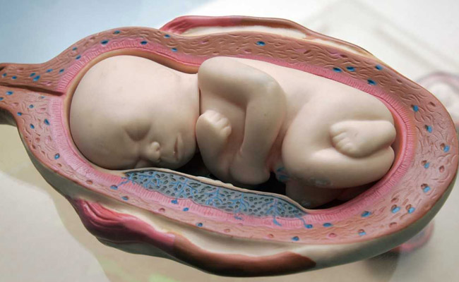 Chinese Hospital Denies Approving Gene-Edited Babies Experiment