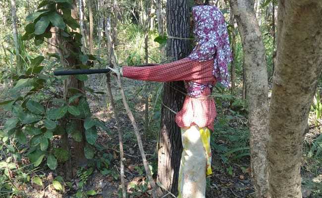 छत्तीसगढ़ में नक्सलियों को ढूंढ़ रहे कोबरा बटालियन के जवानों के सामने खड़े थे 'मौत के पुतले', देखें VIDEO