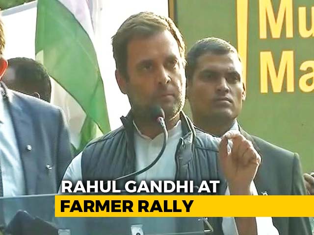 "Why Have Loans Not Been Waived Yet?" Rahul Gandhi At Mega Farmer Rally