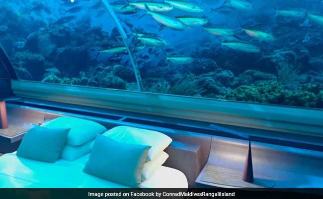 World's First Underwater Villa In Maldives, For $50,000 A Night